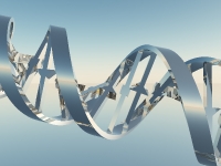 DNA strands (89)
